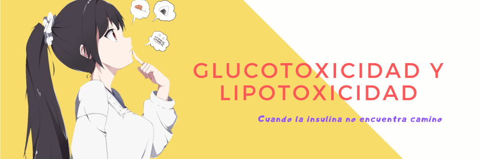 glucotoxicidad
