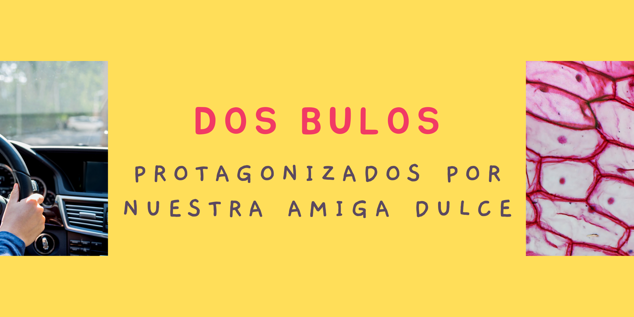 bulos diabetes bulos diabetes