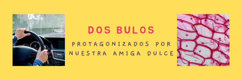 bulos diabetes bulos diabetes