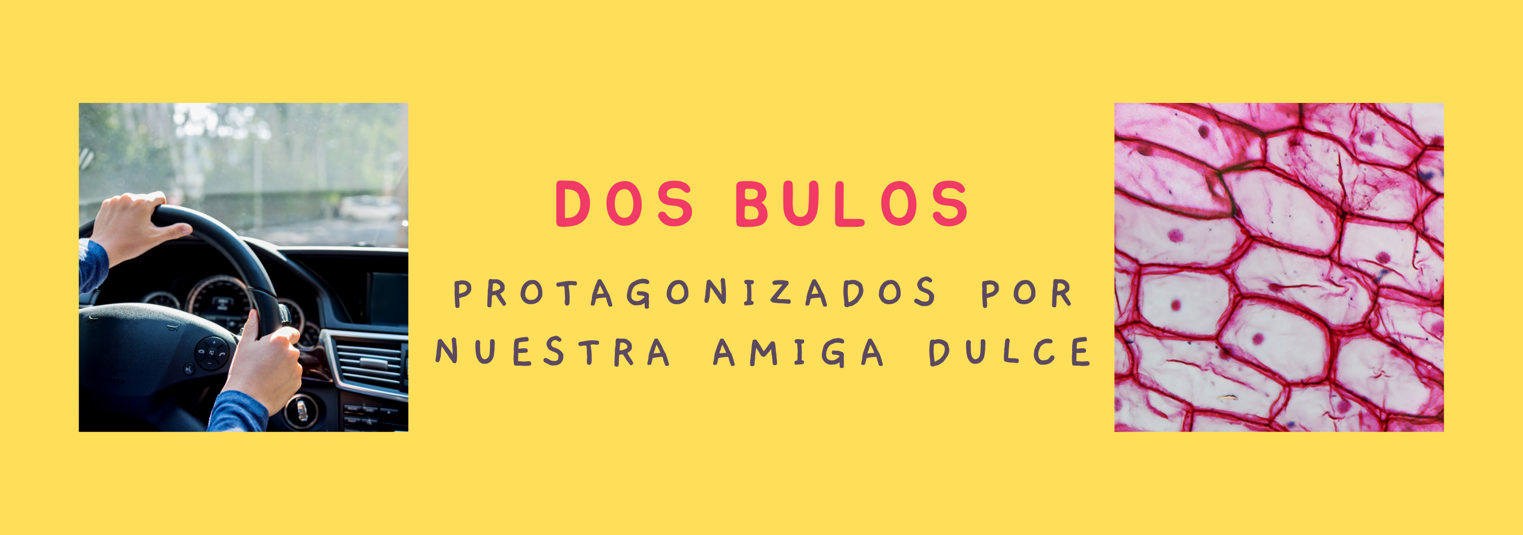 DOS BULOS PROTAGONIZADOS POR LA DIABETES