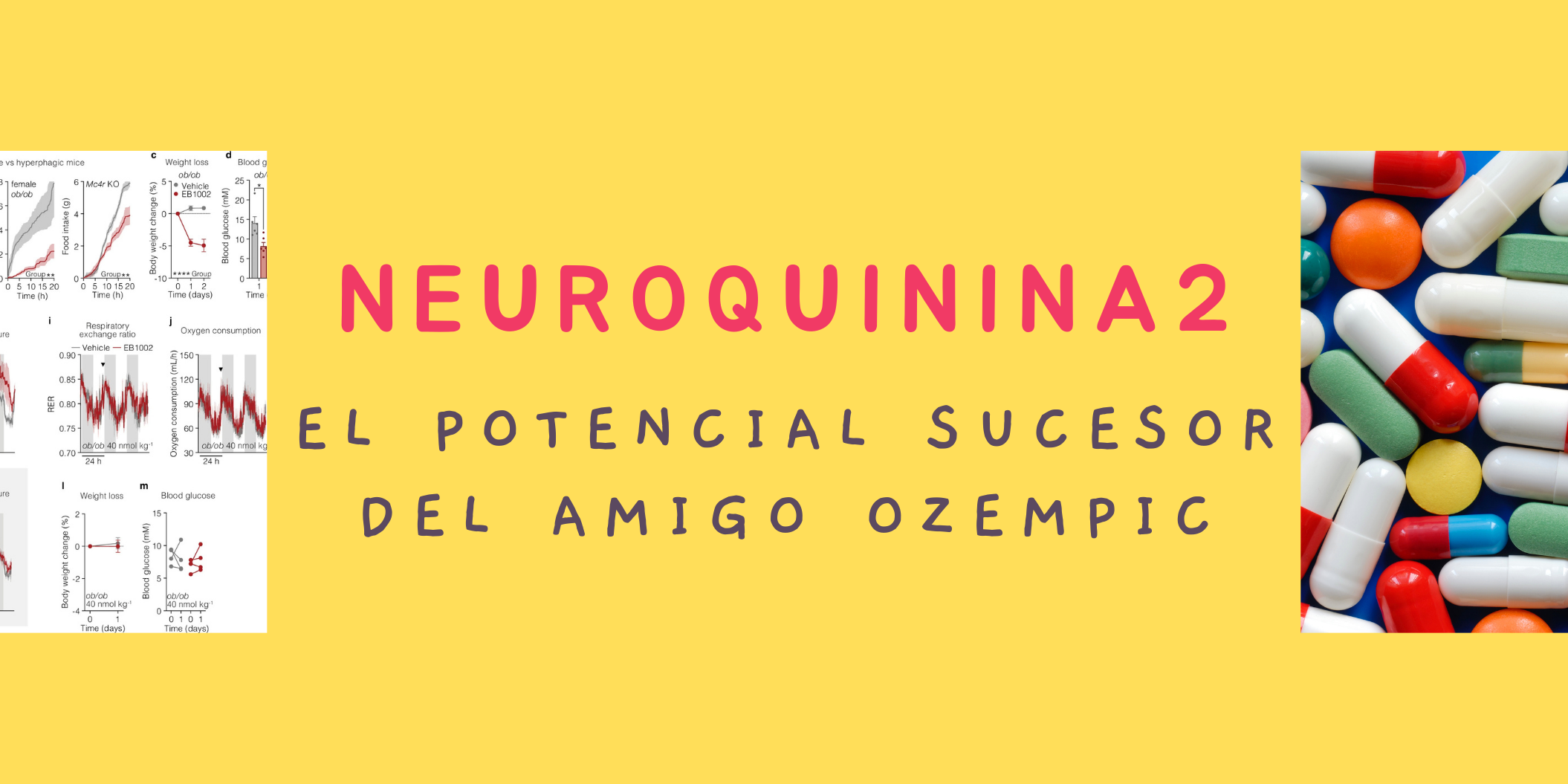neuroquinina 2
