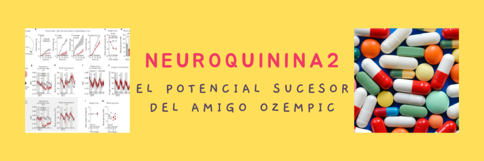 neuroquinina 2 neuroquinina 2