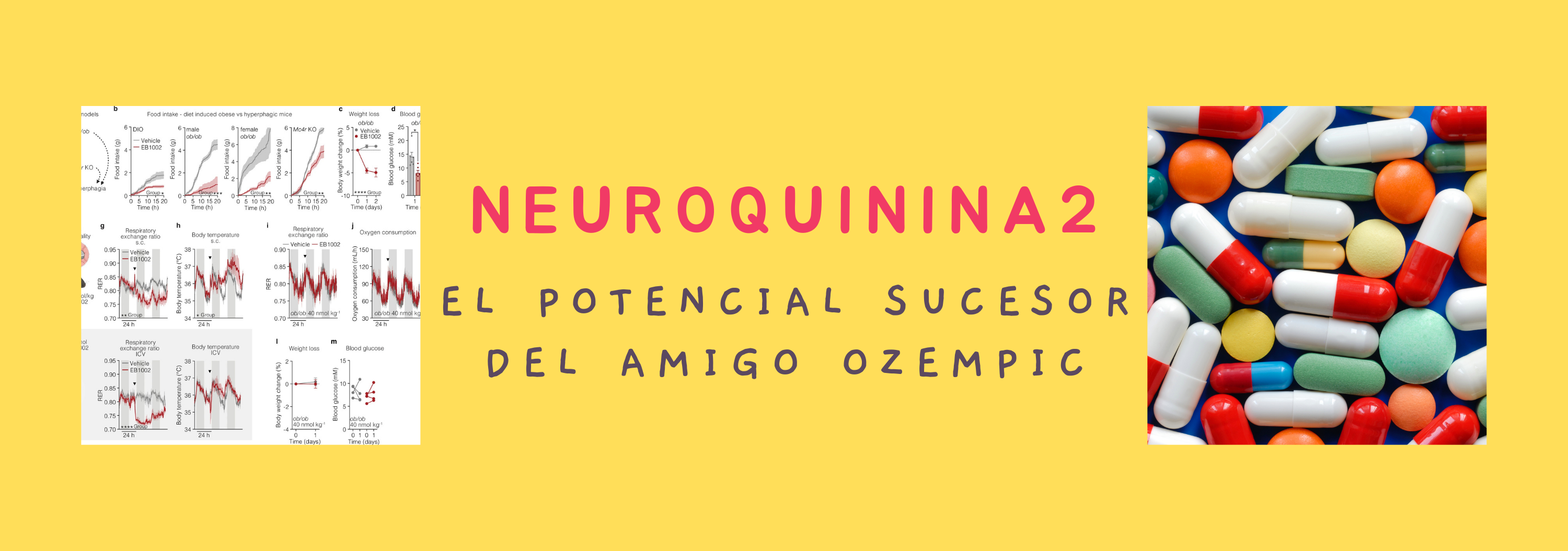 ADIOS SEMAGLUTIDE. HOLA NEUROQUININA 2